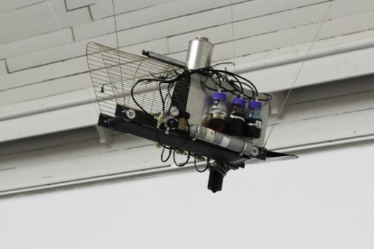 pigeon-dyeing-cage-530x353