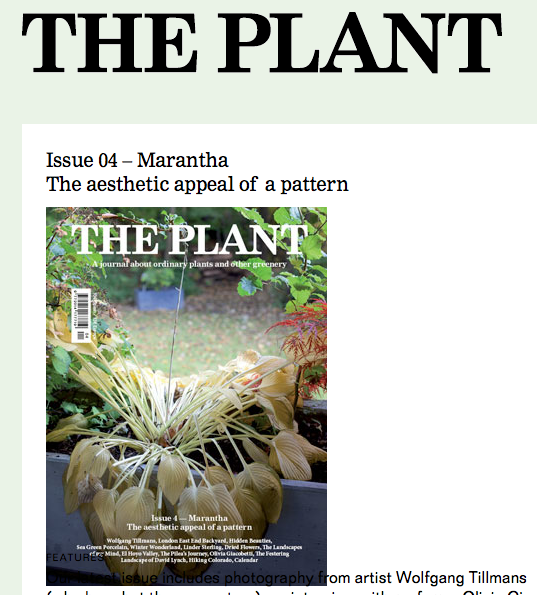 Screen Shot 2013-08-15 at 10.19.28 PM